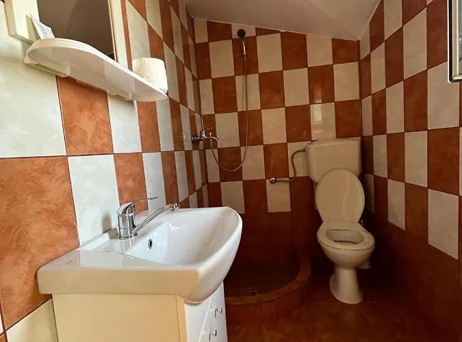 Гостевой дом Alexa Костинешти